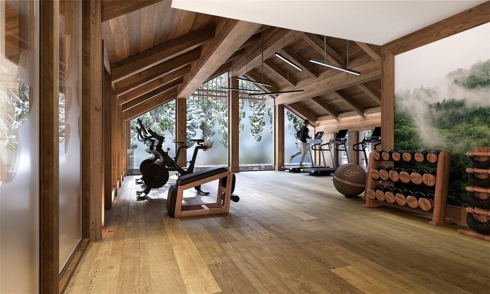 Private gym at Apartment Champlain, a luxury chalet in Courchevel