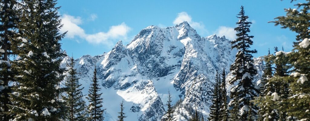 Mountain and forest view from a Courchevel chalet